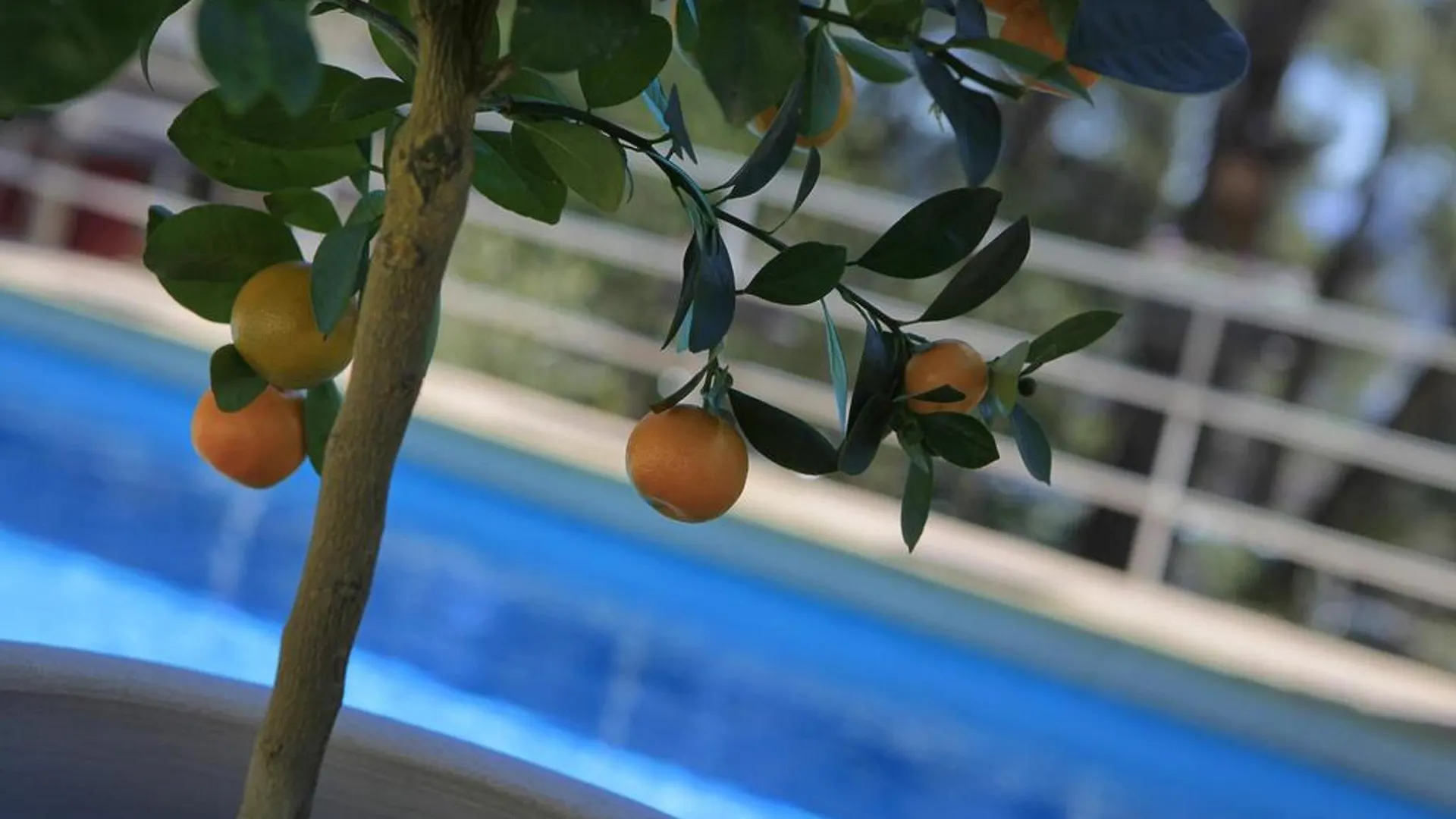 Hotel Le Mas Des Ecureuils Aix-en-Provence 3*,